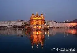 Rookie赛程冲上热搜(Rookie或将在第三赛段回归)|多宝鱼是海鱼还是淡水鱼